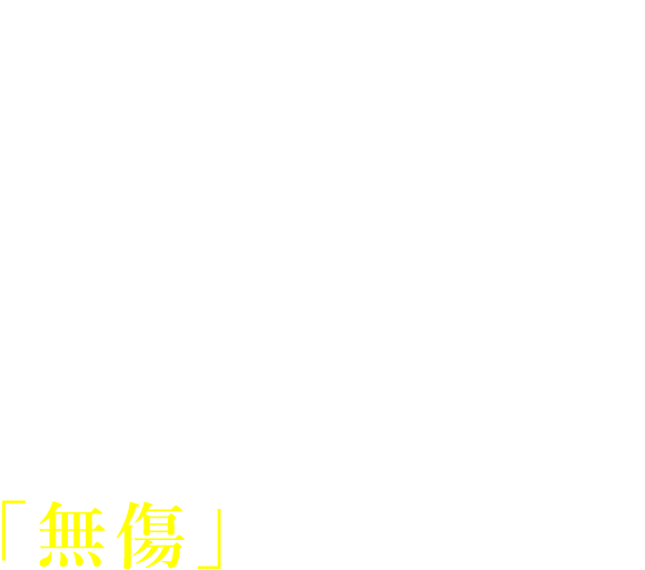 すべては大震災から家族の命と幸せを守るために。百年住宅の建物はあらゆる震災において窓ガラス1枚も破損無く「無傷」を実現しました。