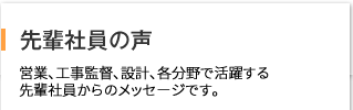 先輩社員の声 営業、工事監督、設計、各分野で活躍する先輩社員からのメッセージです。