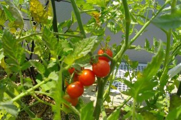 【山口県のモデルハウス】今注目の百年住宅 山口県の岩国モデ...