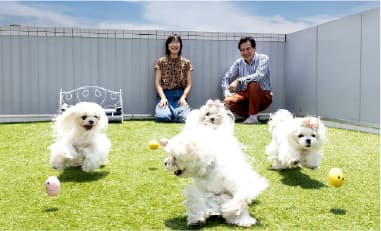 屋上利用も可能