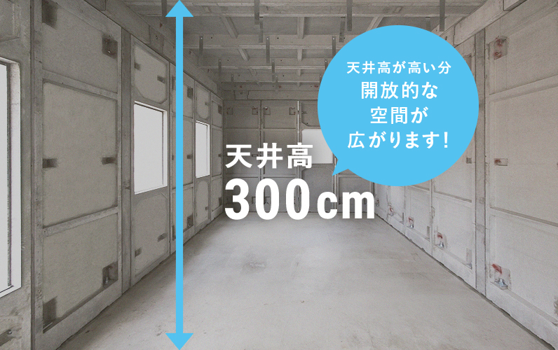 天井高300cm