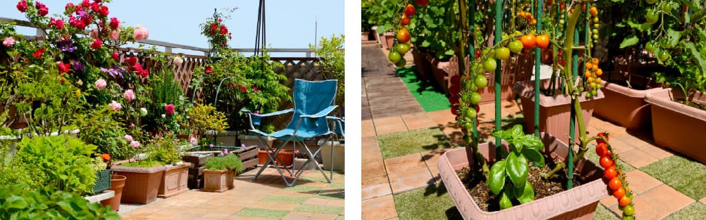 毎日の暮らしに、実りのある時間を